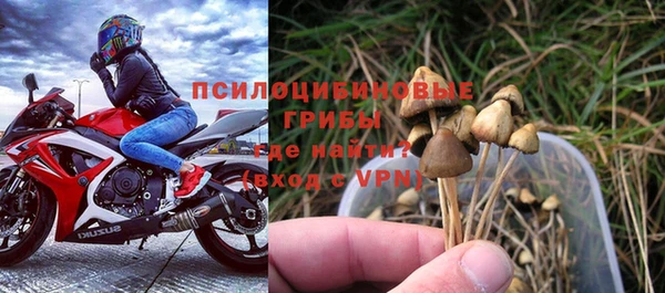 прущие крисы Аркадак