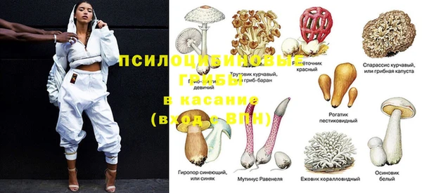дурь Армянск